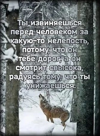 Извинения