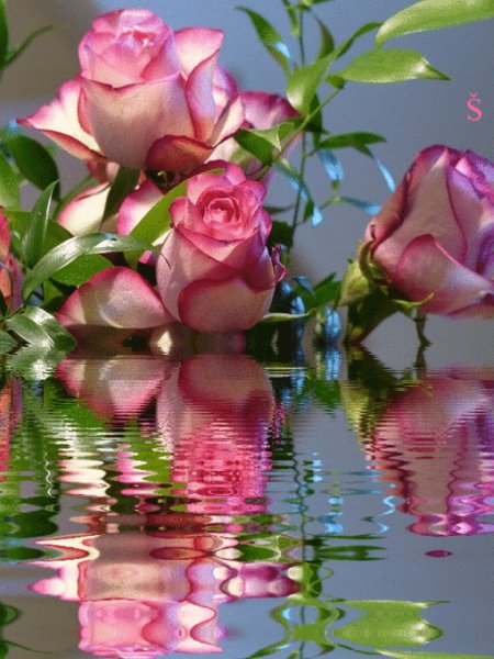 С днём рождения