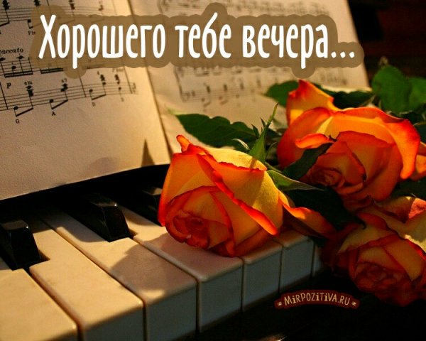 IMG 20181015 133557 811