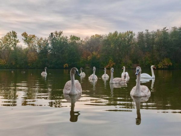 IMG 20250928 214341 457