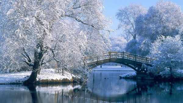 Image from million-wallpapers.ru 1366x768(1)