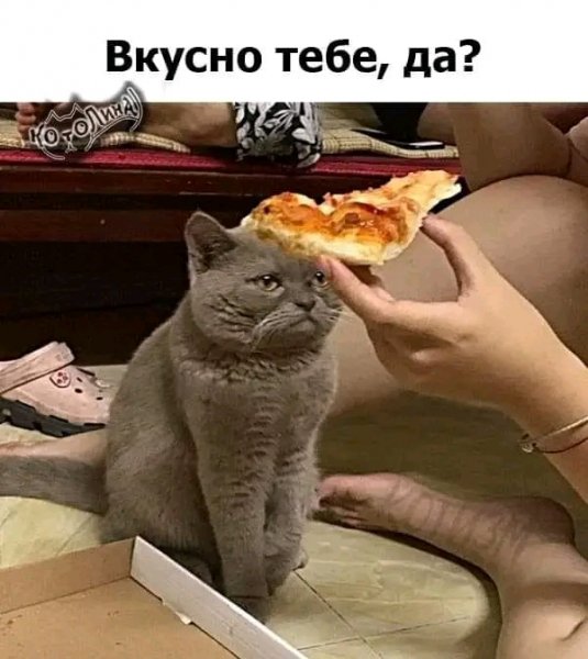 file_96834504