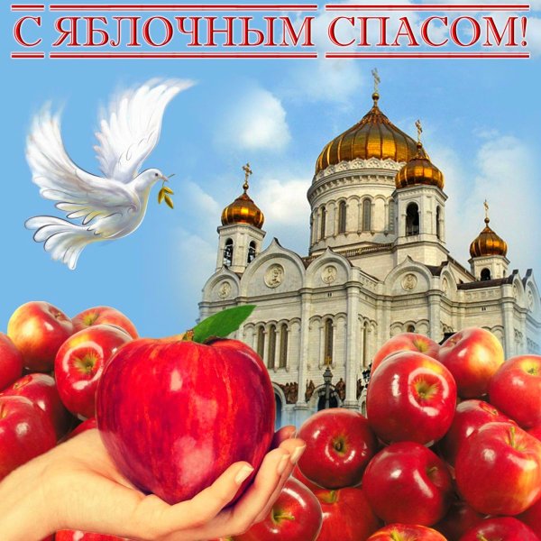 file_97488538