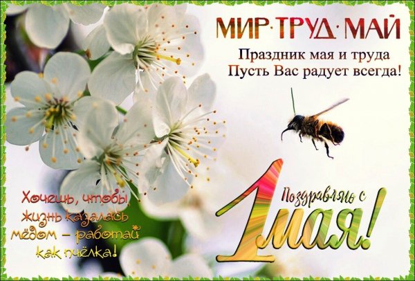 IMG 20240501 011651