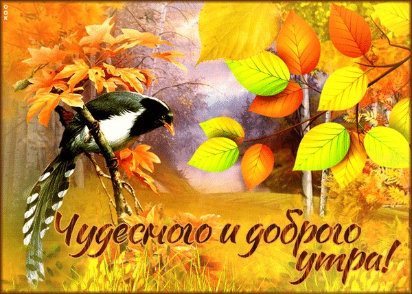 Анимированная открытка чудесного и доброго (1)