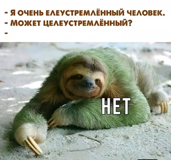 file_103147601