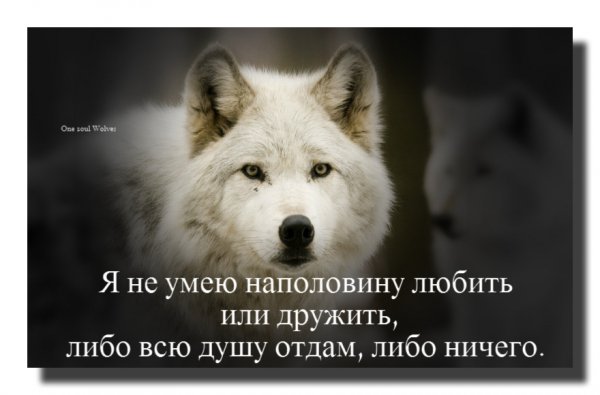 image (6)