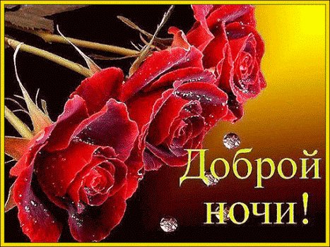 17y9i41kuzkvp0w1