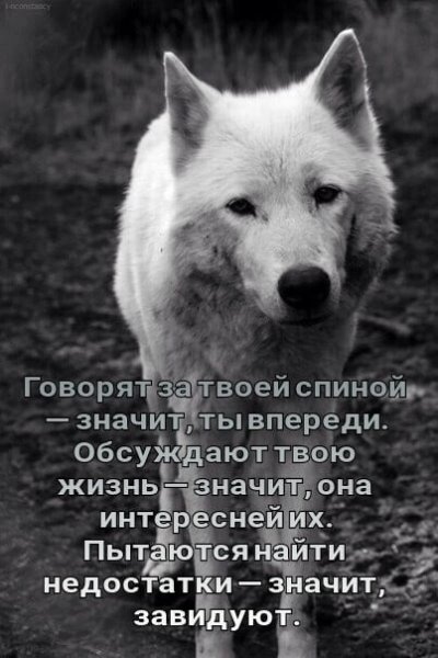 Говорят