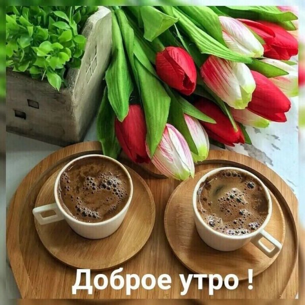 Доброе утро