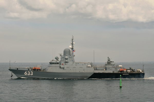 IMG viter59 Karakurt