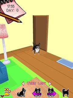 x320-my little dogs 3d