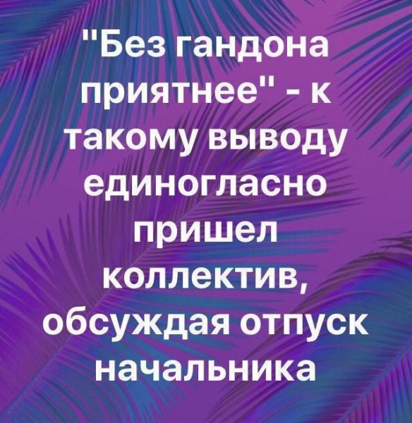 b6854ffbf491c3fd3119d9838c209