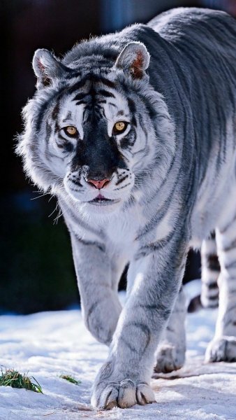 file_100163867