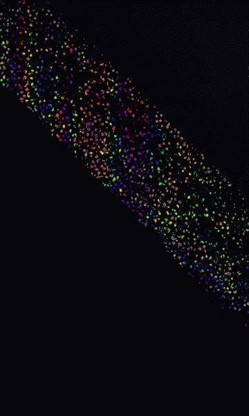 Абстракция,черный фон,полоса точек.1