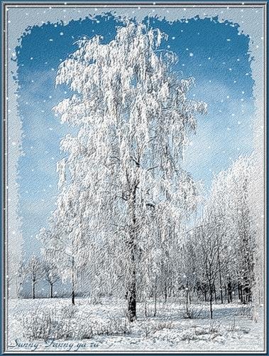 Зима2