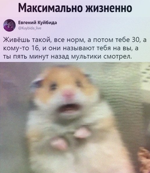 file_83589422