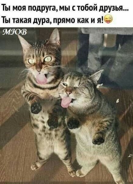 FB IMG 1775992120389