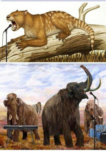 ЮМОР ПРИКОЛЫ СМЕХ (23)