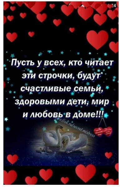 IMG-20190211-WA0010