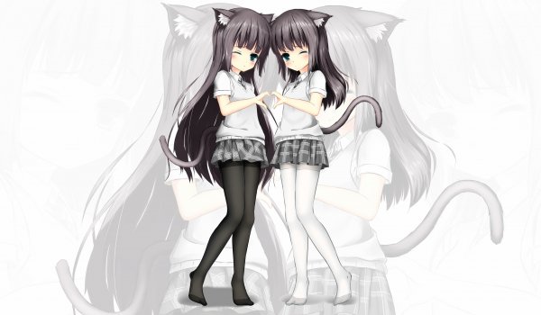 Anime-yuri-shoutu-neko-Animal-Ears-(Anime)-1591075