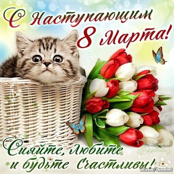 IMG 20210308 024511
