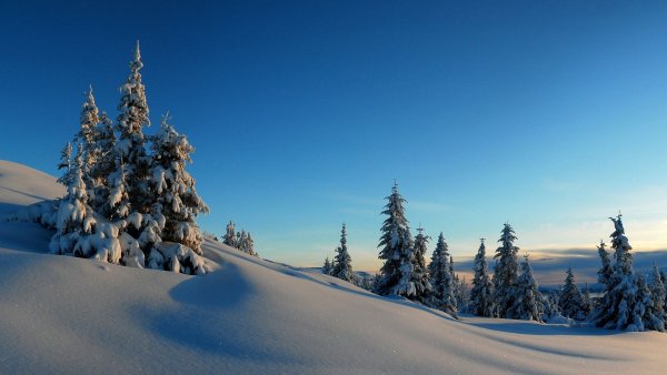 file_78922104