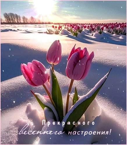 Анимированная открытка прекрасного весеннго