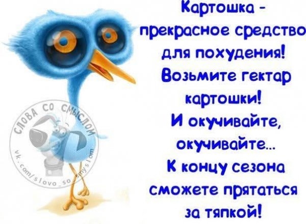 FB IMG 1777487611415