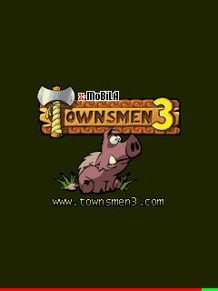 Townsmen3