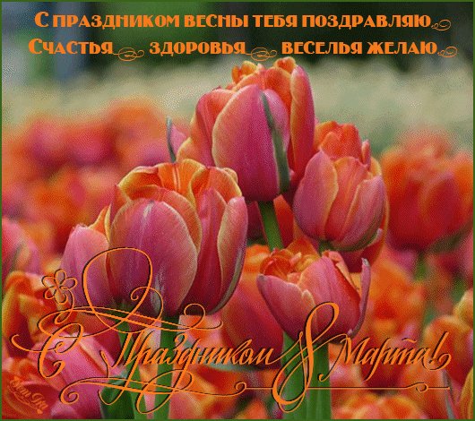 file_46038804