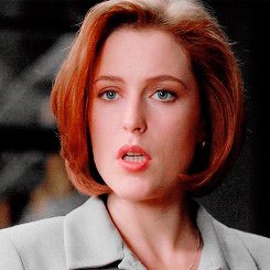 36f408a650c144c72ecc3a329cd2275e