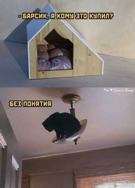 Приколы юмор (31)