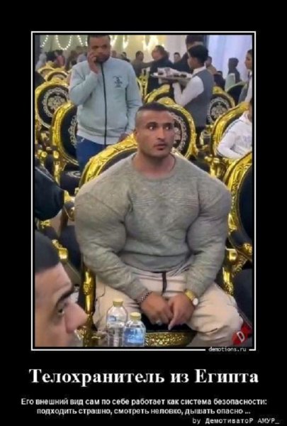 Телохранитель из Египта