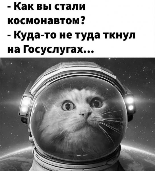 file_88873055