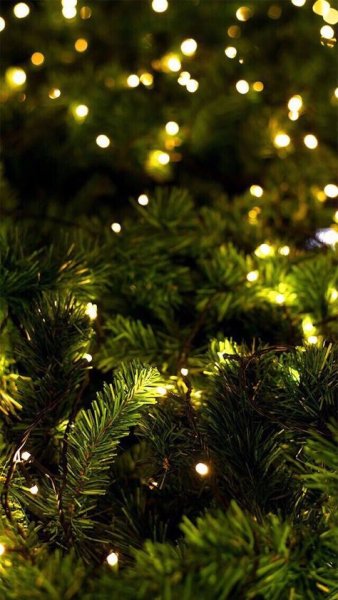 60a1681e1e814f6465ee220bac006872--christmas-background-christ