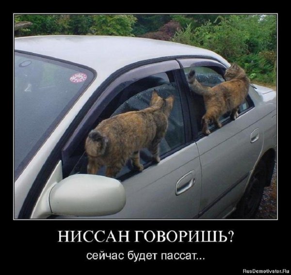 Ниссан говоришь, сейчас будет пассат