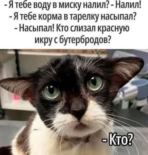 FB IMG 1777725042109