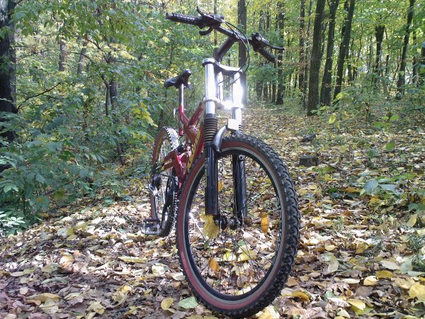 ARDIS раньше был моий