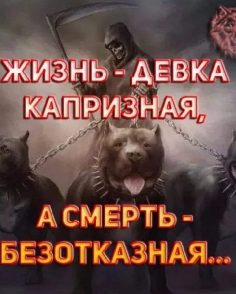 FB IMG 1624108918289