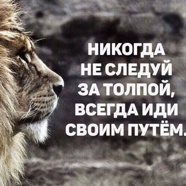 IMG 20240922 105820