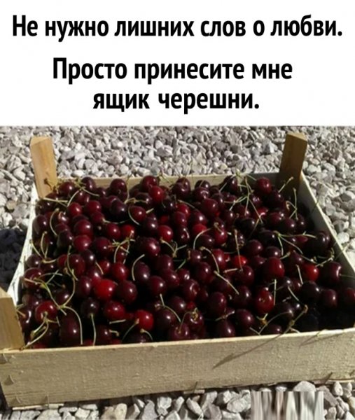file_102829793