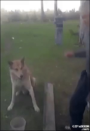 Привет Барбос!))