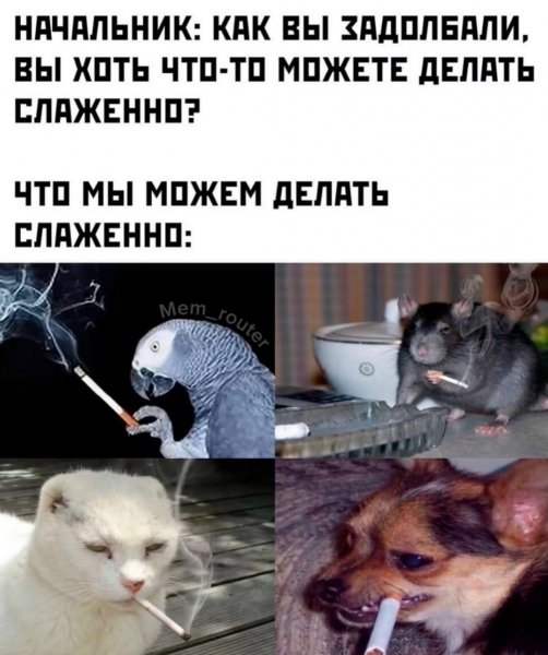 Mem router b49d576111434a86aad5deb1fc24ed51