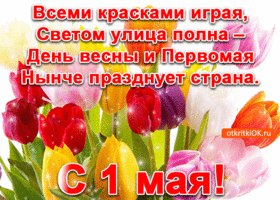 pozdravitelnaya-otkrytka-1-maya-45725-7949912
