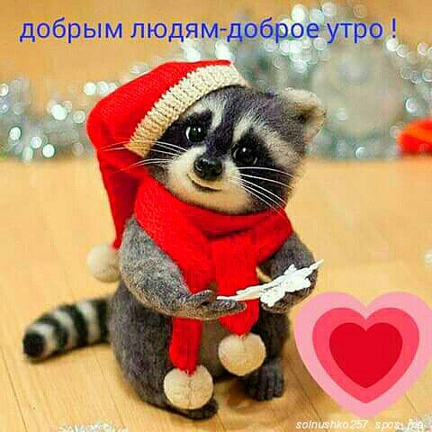 IMG 20180825 043153