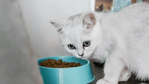 AQAOnegra90uC41QXm kPZ81L4pWWiWWn6mFRnxBWvDthH uCmXcKcR0qgmk