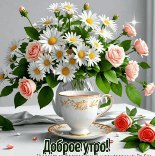 IMG 20260427 223458