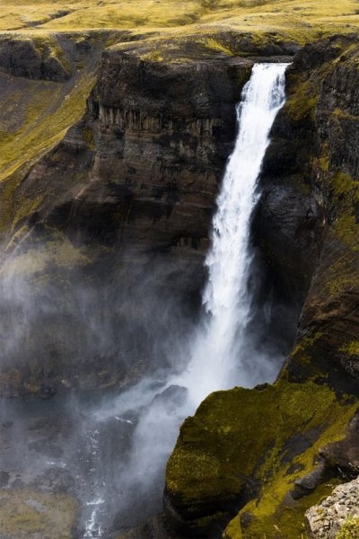 image (7)