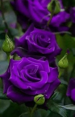 file_89755864